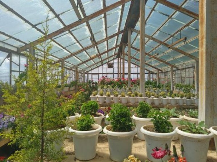Regional Horticultural Research_Training Station-3